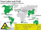 Infografik: Länder mit Anbau von Gen-Pflanzen (Stand 2003)/ Großansicht bei Spiegel-Online