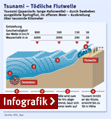 Infografik: Tsunamie,  Großansicht bei FAZ.net