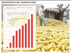 Infografik: Gentechnik in der Landwirtschaft; Großansicht [FR]