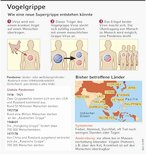 Infografik: Vogelgrippe: Wie eine neue Supergrippe entstehen könnte; Großansicht [FR]