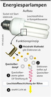 Infografik: Energiesparlampe: Aufbau, Funktionsweise; Großansicht [FR]