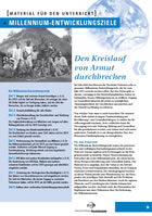 Millenniums-Entwicklungsziele: DSW-Infoblatt