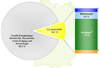 Entwicklung der erneuerbaren Energien in Deutschland im Jahr 2009:  Grafik Groansicht