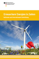 Broschüre: Erneuerbare Energien in Zahlen:  Grafik Großansicht