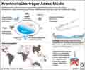 Aedes-Mücke: Globus Infografik 11023/ 26.05.2016