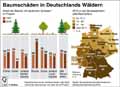 Baumschäden-DE-2016: Globus Infografik 11804/ 16.06.2017